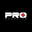 Pro Guarding logo